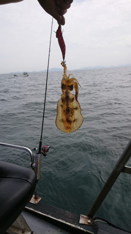 FISHING RISKY 釣果