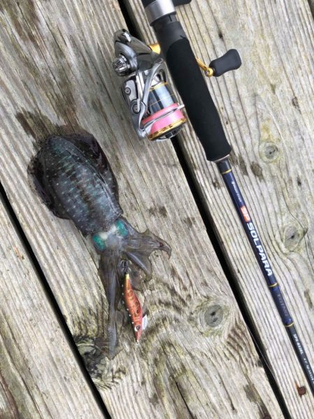 あみや渡船 釣果