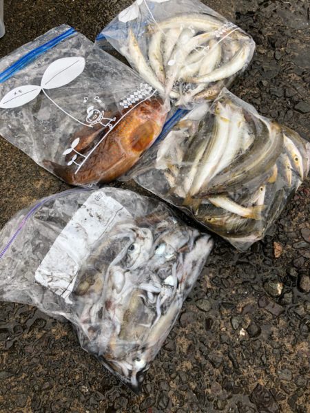 あみや渡船 釣果