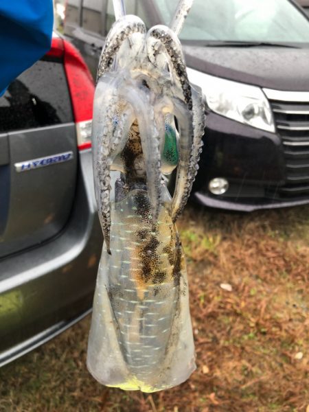 あみや渡船 釣果