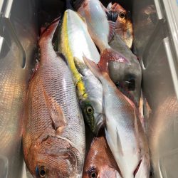 第二八坂丸 釣果