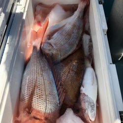 第二八坂丸 釣果