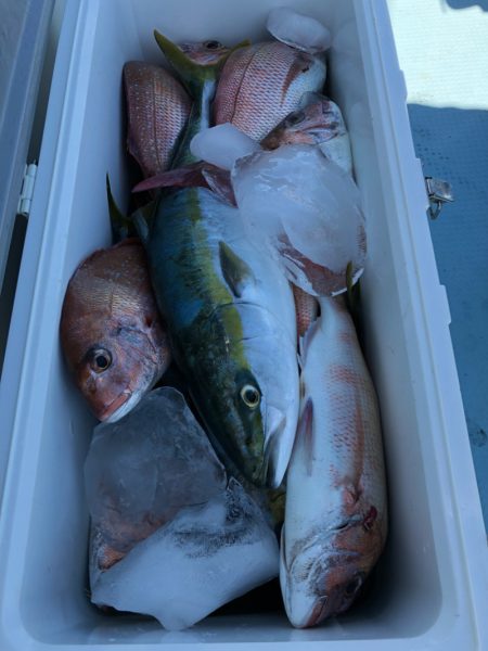 第二八坂丸 釣果