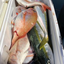 第二八坂丸 釣果