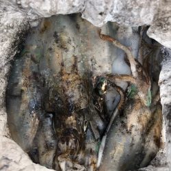 あみや渡船 釣果