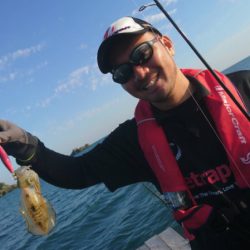 あみや渡船 釣果