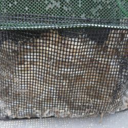 FISHING RISKY 釣果