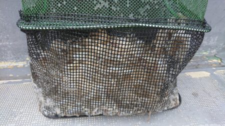 FISHING RISKY 釣果