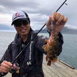 あみや渡船 釣果