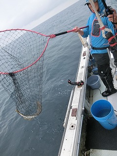 第二清洋丸 釣果