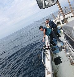 第二清洋丸 釣果