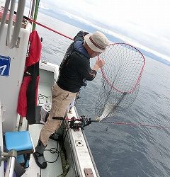 第二清洋丸 釣果