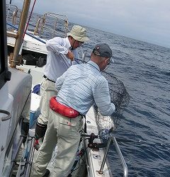 第二清洋丸 釣果