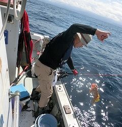 第二清洋丸 釣果