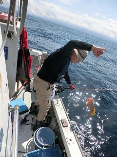 第二清洋丸 釣果