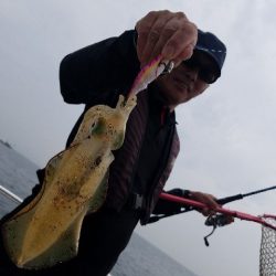 Magic(マジック) 釣果