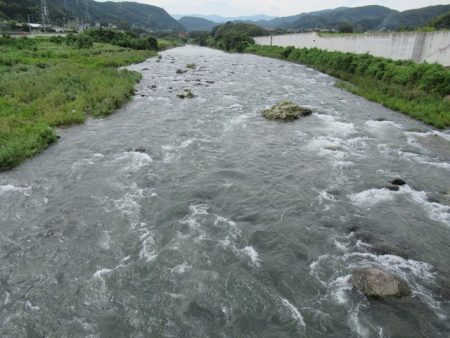 狩野川(狩野川漁業協同組合) 釣果
