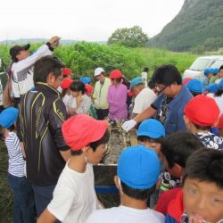 狩野川(狩野川漁業協同組合) 釣果