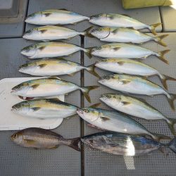 sea boss シーボス 釣果