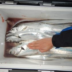 sea boss　シーボス 釣果