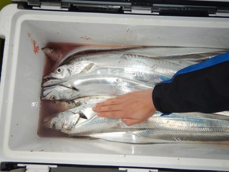 sea boss　シーボス 釣果