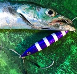 利弥丸(としやまる) 釣果