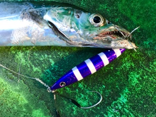 利弥丸(としやまる) 釣果