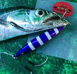 利弥丸(としやまる) 釣果