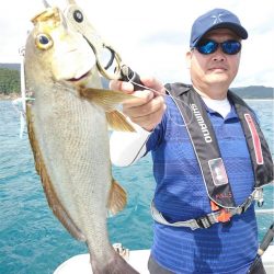 マタウマリンサービス 釣果