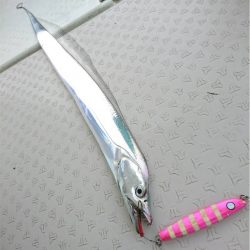 マタウマリンサービス 釣果