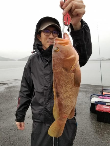 オーフリー 釣果