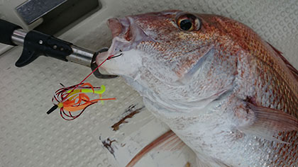 松本釣船２ 釣果