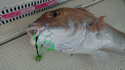 松本釣船２ 釣果