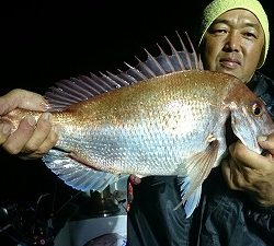 海龍丸(福岡) 釣果