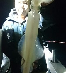 海龍丸(福岡) 釣果