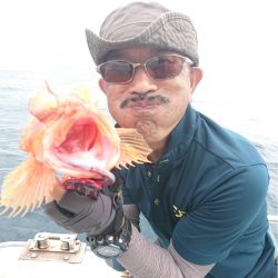 マタウマリンサービス 釣果