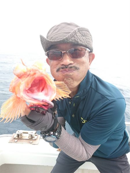 マタウマリンサービス 釣果