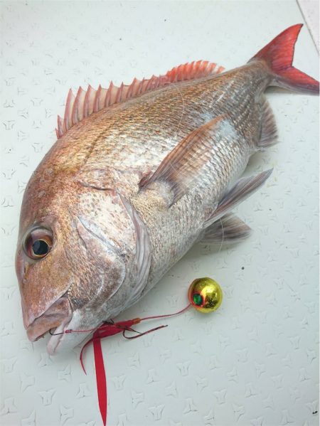 マタウマリンサービス 釣果