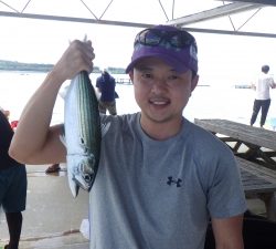 本部釣りイカダ 釣果