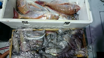 海龍丸(福岡) 釣果