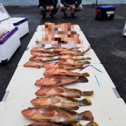 オーフリー 釣果