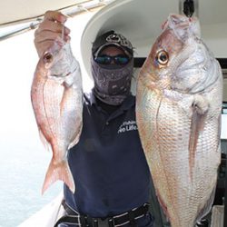 松本釣船2 釣果