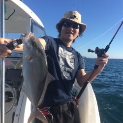 マタウマリンサービス 釣果