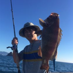 マタウマリンサービス 釣果