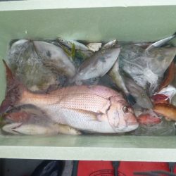 宝政丸 釣果
