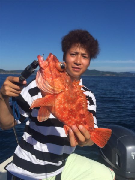 マタウマリンサービス 釣果