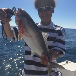 マタウマリンサービス 釣果