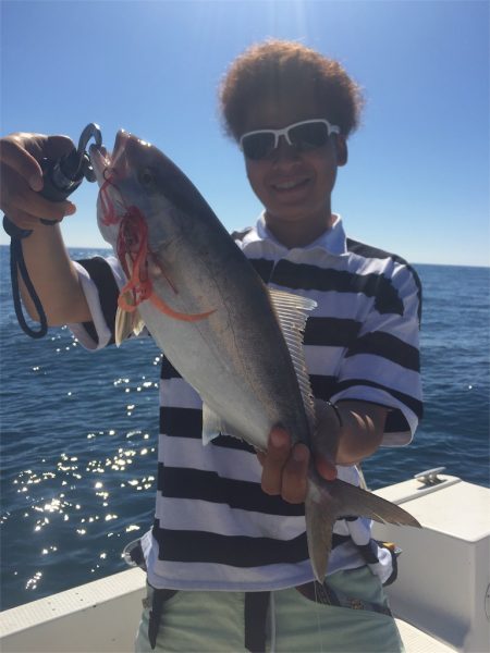 マタウマリンサービス 釣果