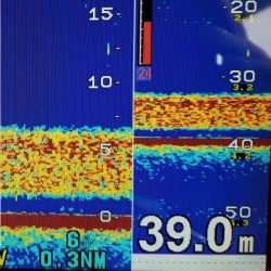 オーフリー 釣果