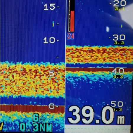 オーフリー 釣果